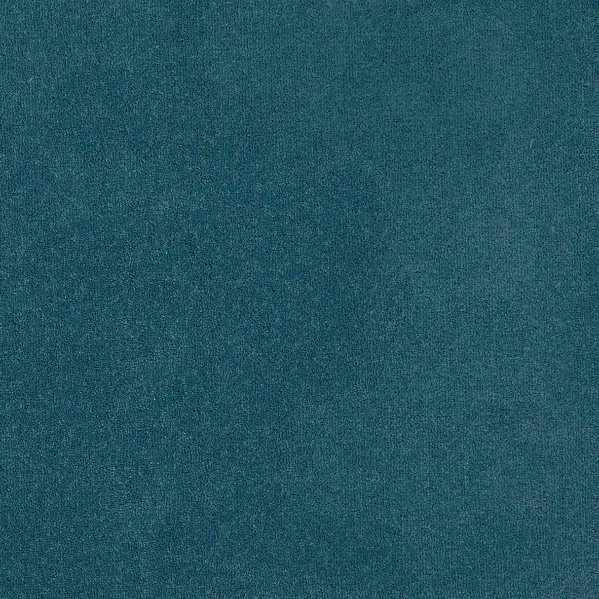 Trident Carpet