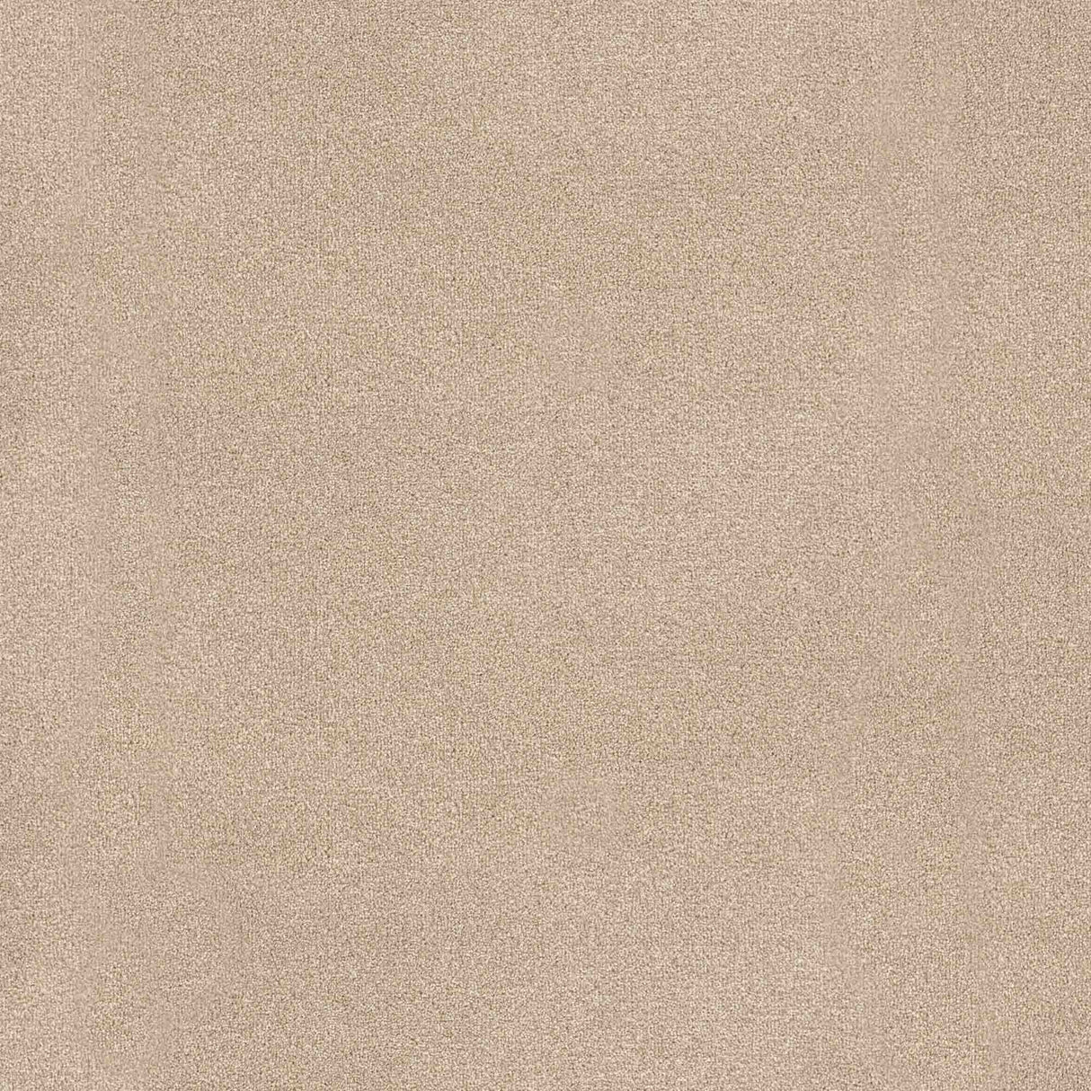 Trident Carpet