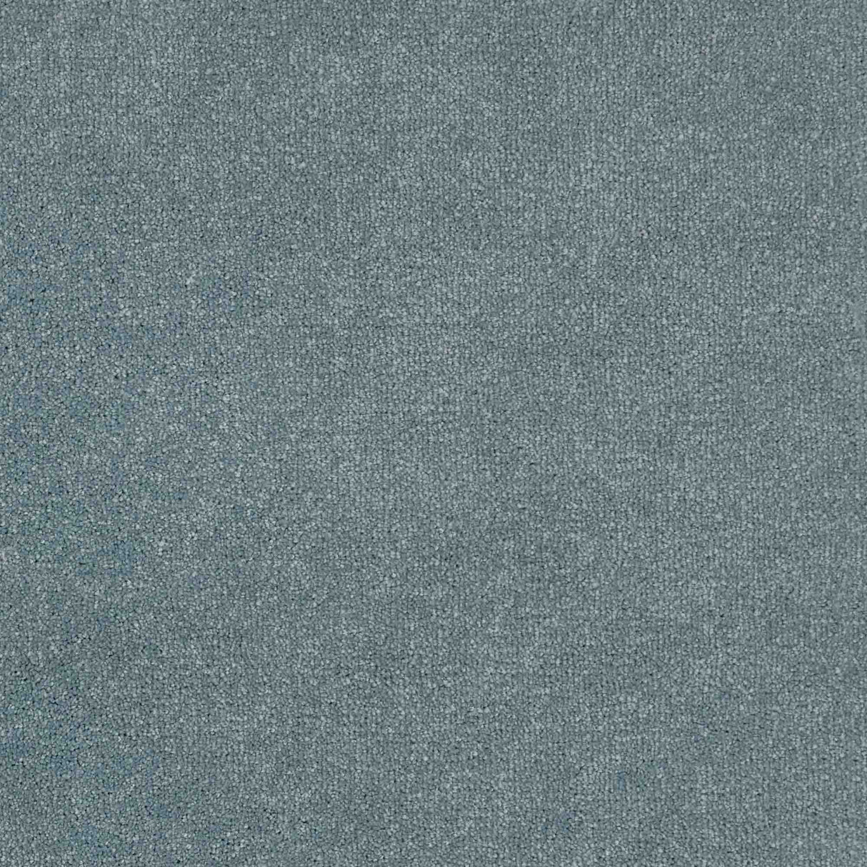 Trident Carpet