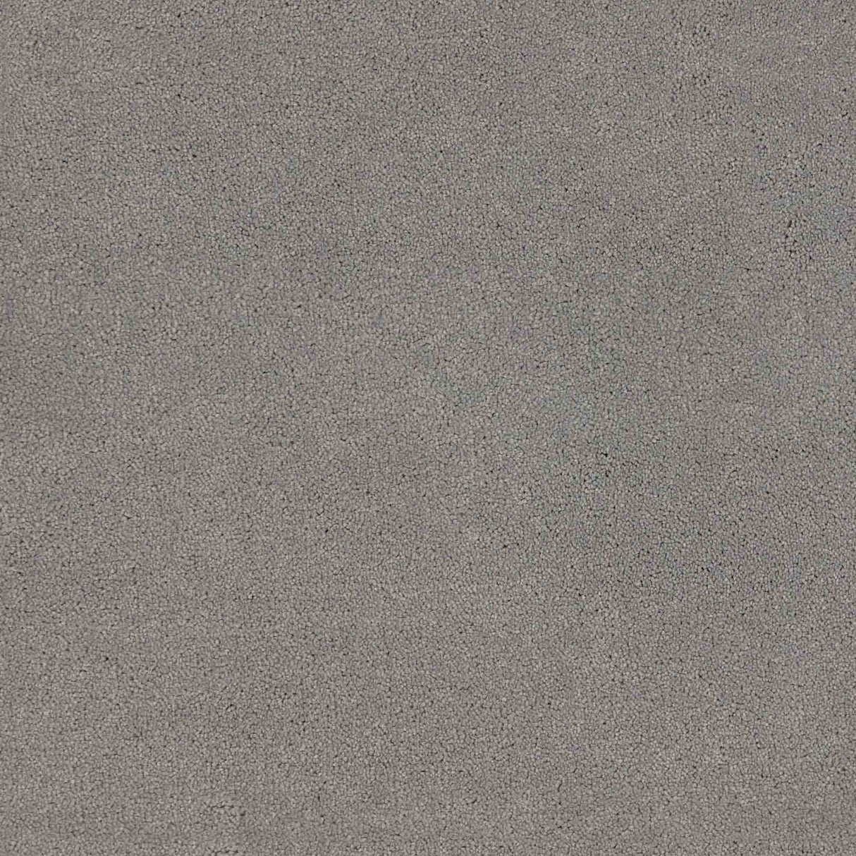 Trident Carpet