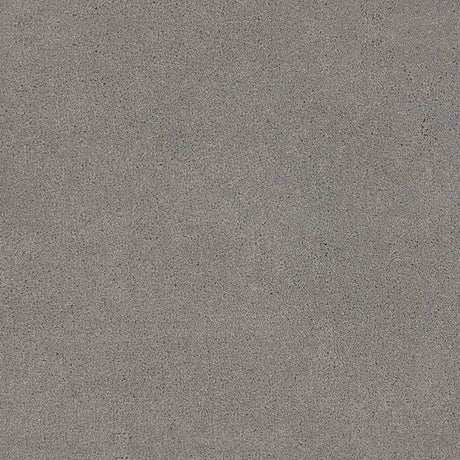 Trident Carpet