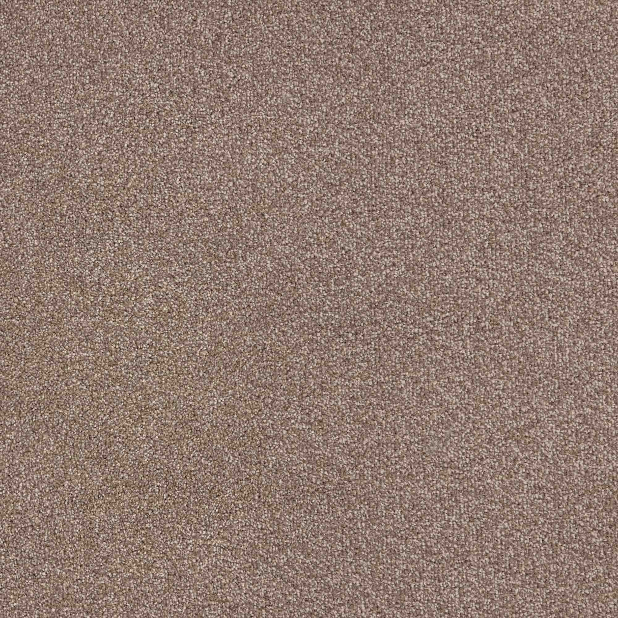 Trident Carpet