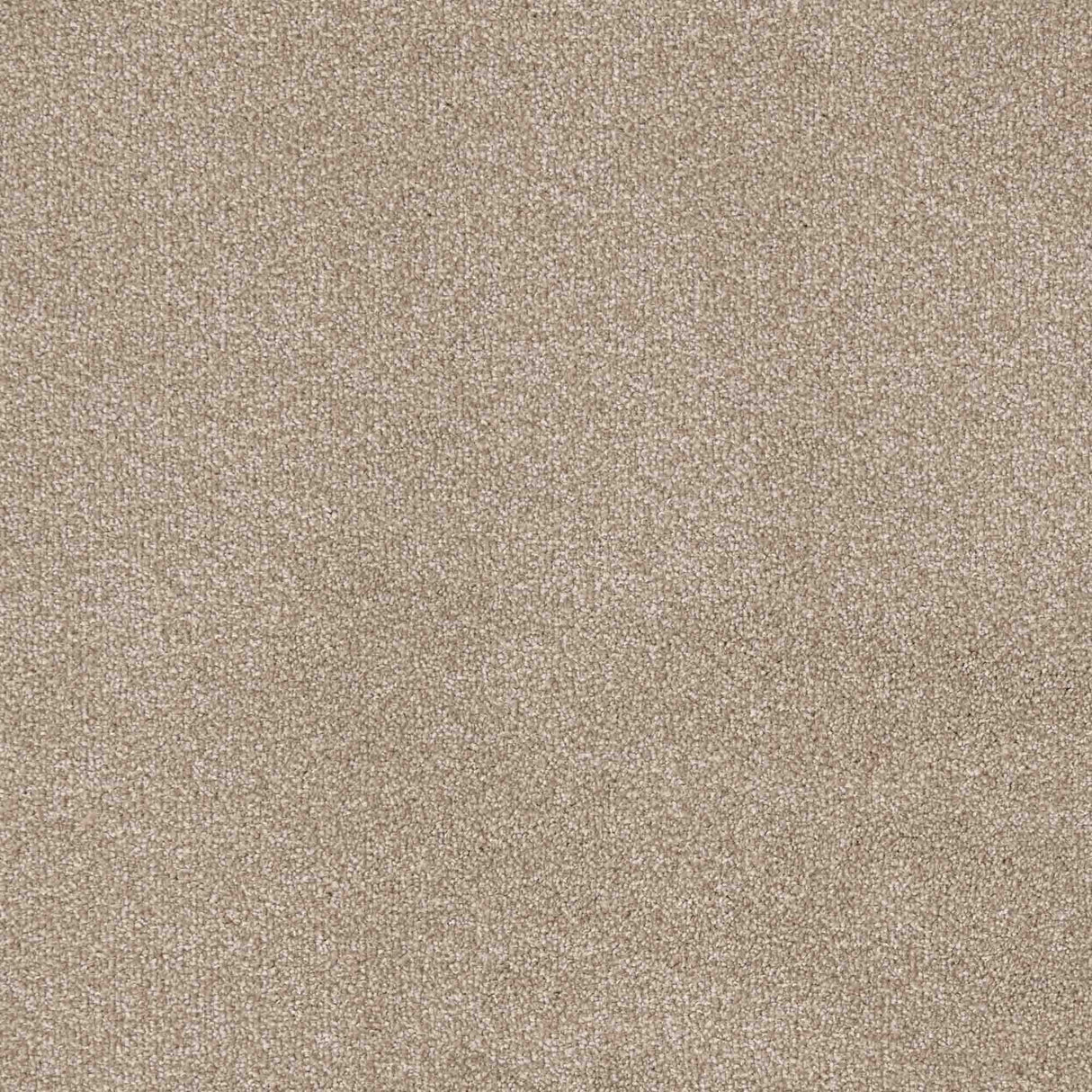 Trident Carpet