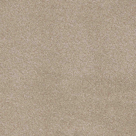 Trident Carpet