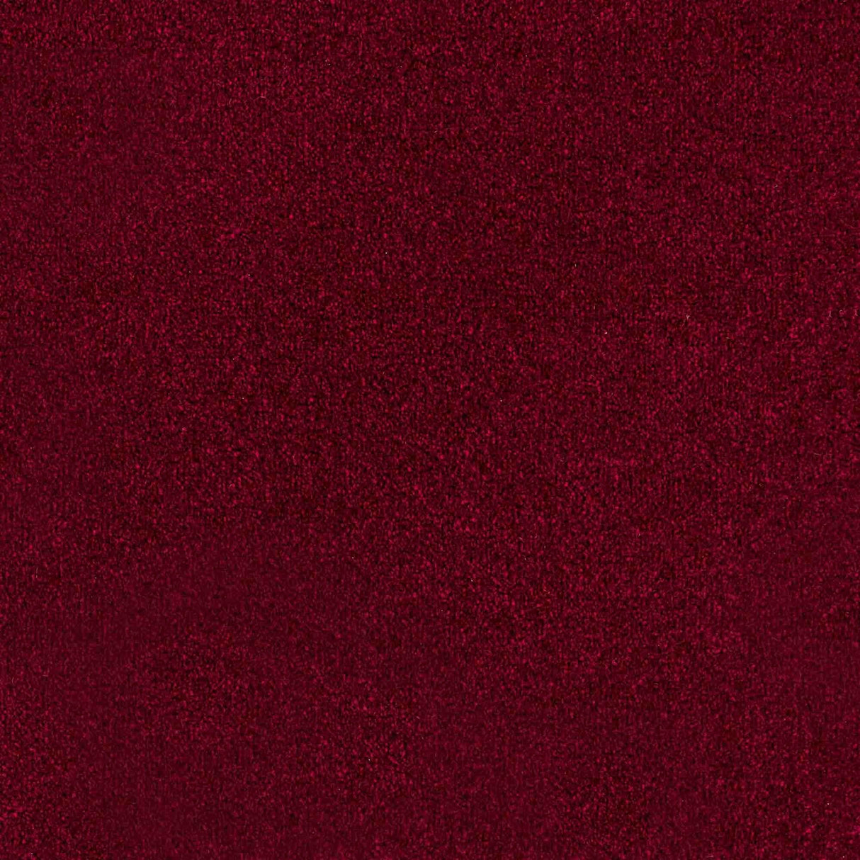 Trident Carpet