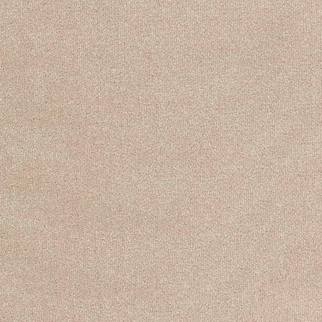 Trident Carpet