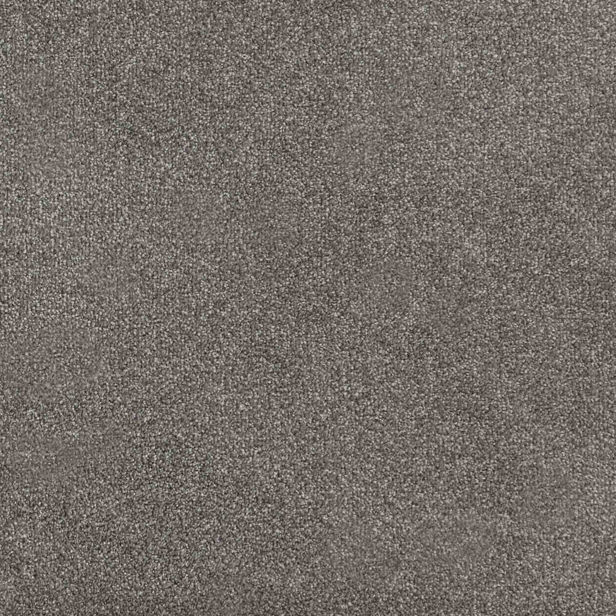 Trident Carpet