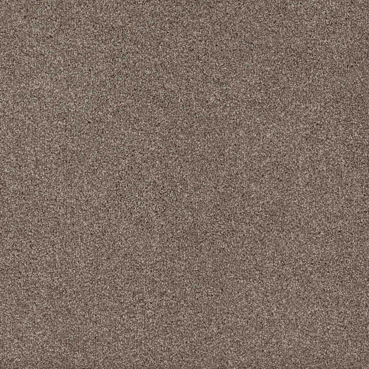 Trident Carpet