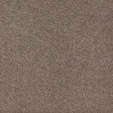 Trident Carpet