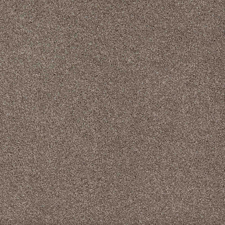 Trident Carpet