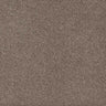 Trident Carpet