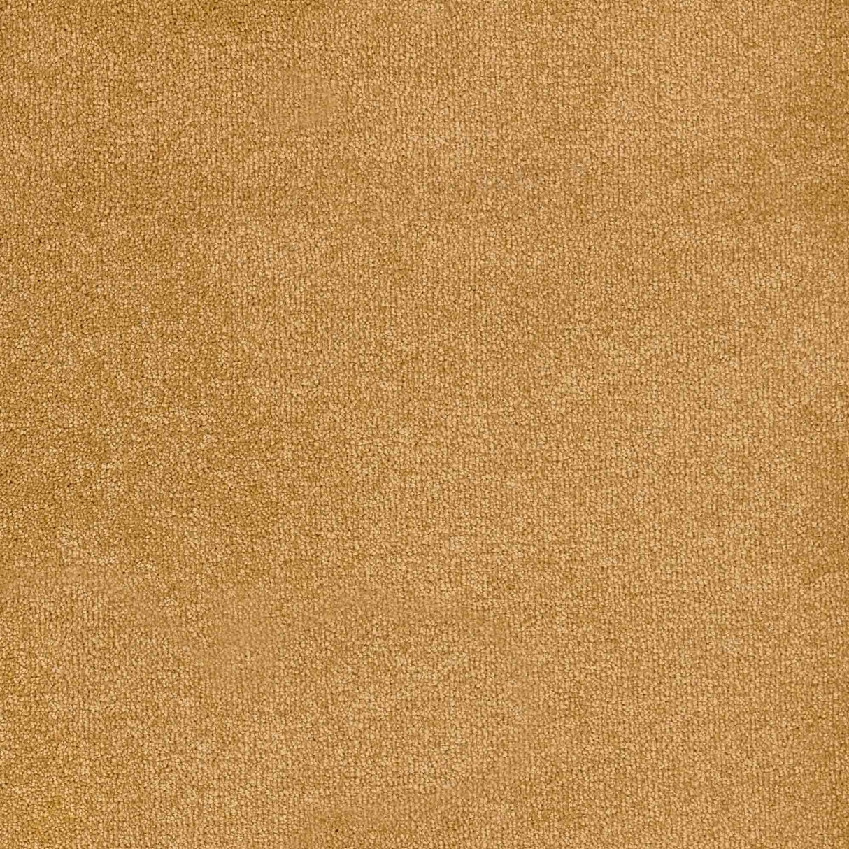 Trident Carpet