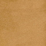 Trident Carpet