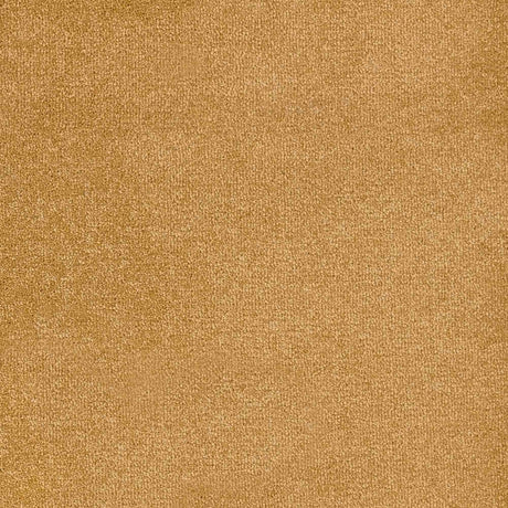 Trident Carpet