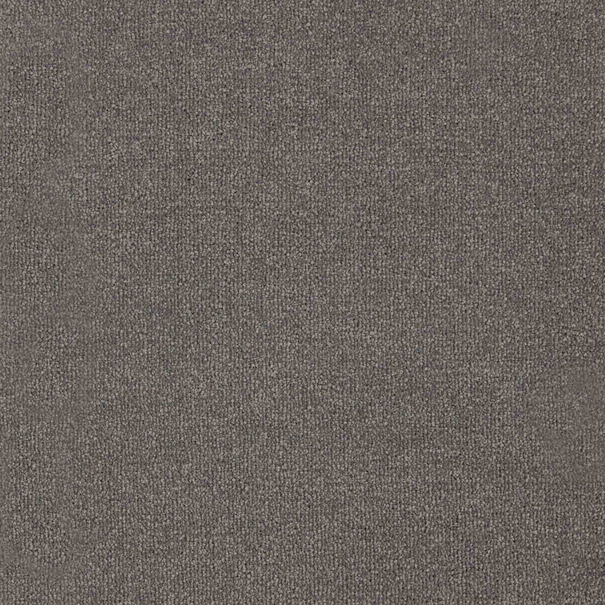 Trident Carpet