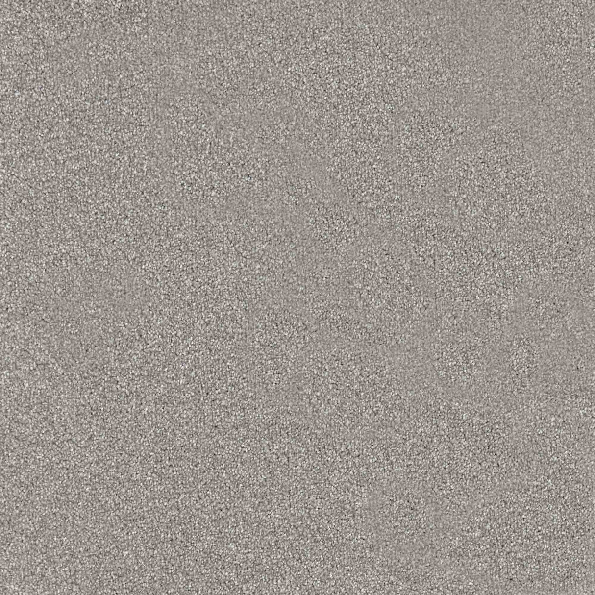 Trident Carpet