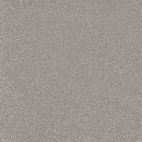 Trident Carpet