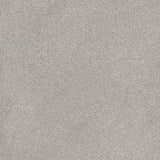Trident Carpet