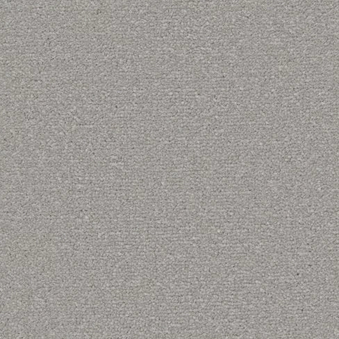 Apollo Plus carpet