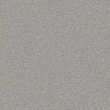 Apollo Plus carpet