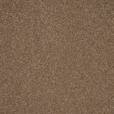 Trinity carpet
