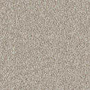 Primo Naturals carpet
