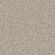 Primo Naturals carpet