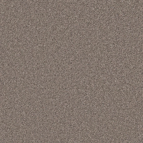 Primo Naturals carpet
