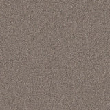 Primo Naturals carpet