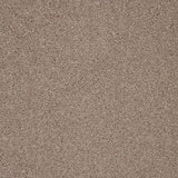 Trinity carpet