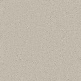 French Grey