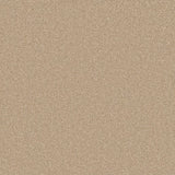 Primo Naturals carpet