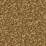 Apollo Plus carpet