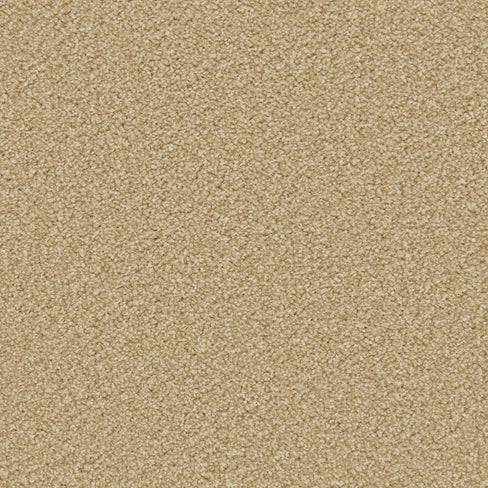Apollo Plus carpet