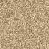 Apollo Plus carpet