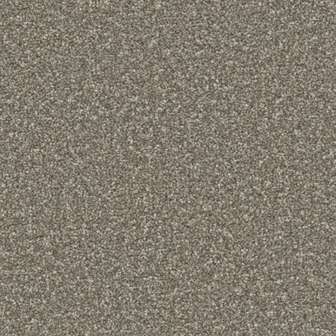 Apollo Plus carpet