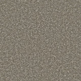 Apollo Plus carpet