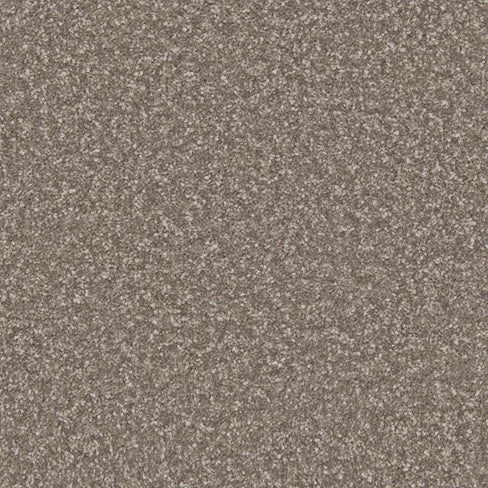 Apollo Plus carpet