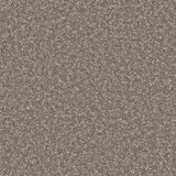 Apollo Plus carpet