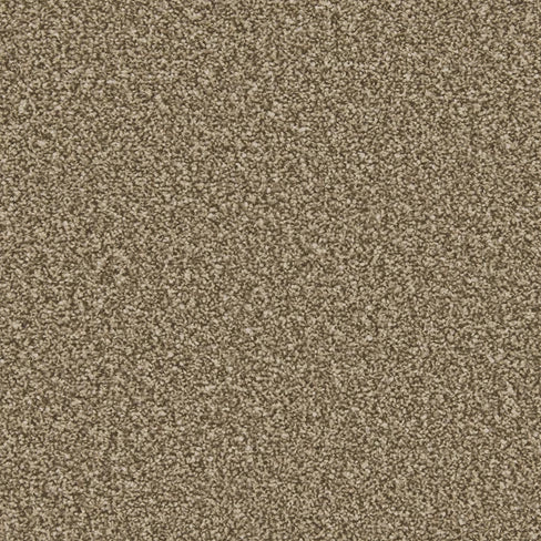 Apollo Plus carpet