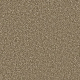 Apollo Plus carpet