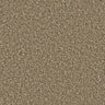 Apollo Plus carpet