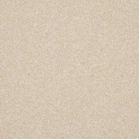 Inglewood Saxony carpet