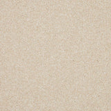 Inglewood Saxony carpet