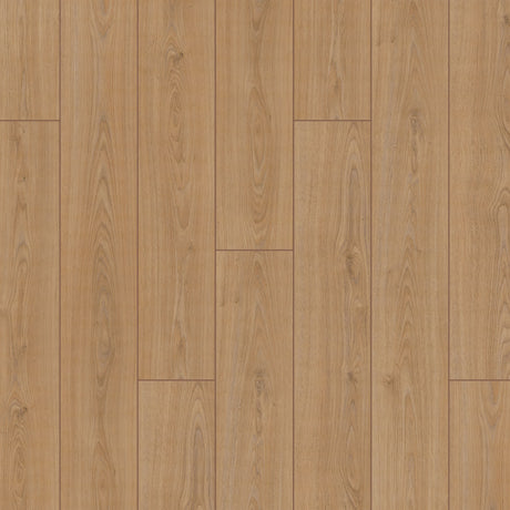 Furlong Elite XL Laminate