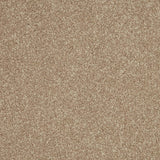 Inglewood Saxony carpet