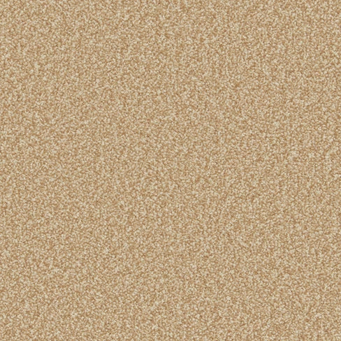 Primo Ultra Carpet