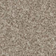 Inglewood Saxony carpet