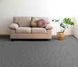 Furlong Gobi carpet Coyote roomset