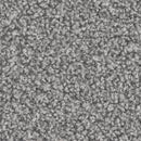 Apollo Plus carpet